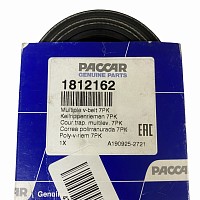 Ремень поликлиновой DAF CF/XF85/95/105 IV Paccar | ТопДизель