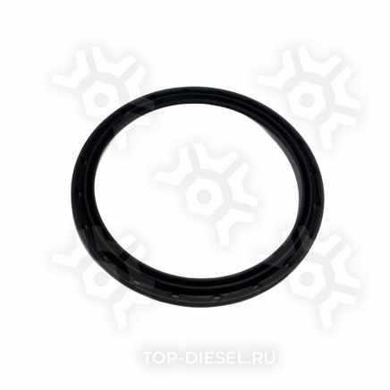 059480 Сальник ступицы 86x105x5/6 Mercedes Benz Actros/Axor Elring купить рис.2