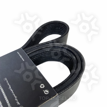 9PK2870HD Ремень поликлиновой Mercedes Benz Actros/Axor Dayco купить рис.3