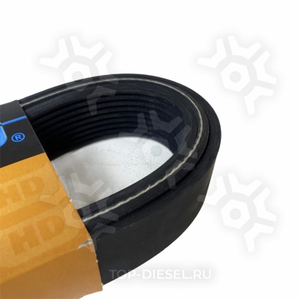 9PK1699HD Ремень поликлиновой Mercedes Benz/Renault Premium Dayco купить рис.3