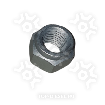 SK787001601 Гайка !M22x2.5-10 BPW стремянки S&K GMBH купить