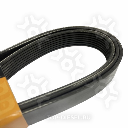 8PK2415HD Ремень поликлиновой генаратора/вентилятора DAF/Mercedes Benz/Scania Dayco купить рис.3