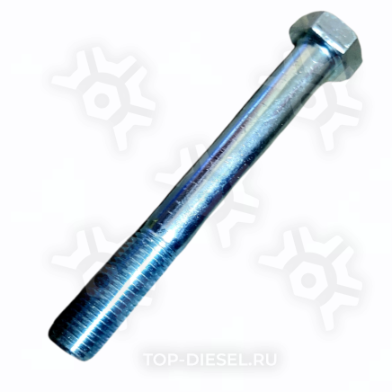 1016220 Болт амортизатора M20x2.5x170/160/50 SW22 BPW DT купить