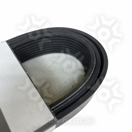 8PK1920HD Ремень поликлиновой 8PK1920 MAN TGA Dayco купить рис.3