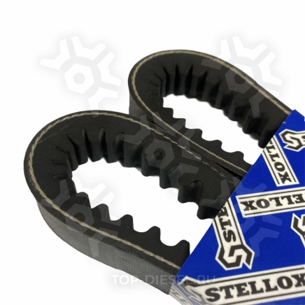 0221055SX Ремень клиновой 22x1055 Freightliner Stellox купить рис.3