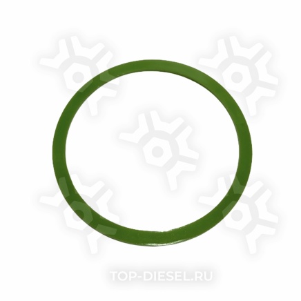 160514 Кольцо дистанционное топливного насоса Cummins M11/N14 Freightliner/International Cummins купить