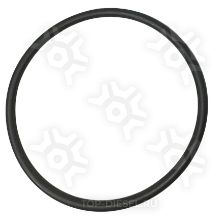 389550 Кольцо уплотнительное 109.2X5.7B-NBR3-70 Diesel Technic купить