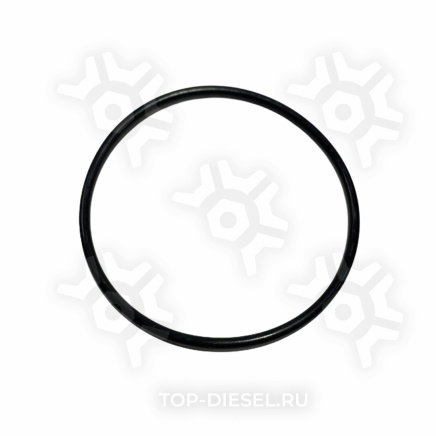 3102645 Уплотнительное кольцо Cummins 3102645 купить