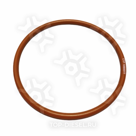 1090077 Кольцо уплотнительное теплообменника Caterpillar C-15/3406 Freightliner/International CTP купить