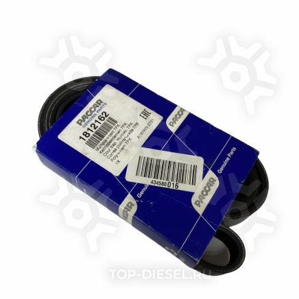 1812162 Ремень поликлиновой DAF CF/XF85/95/105 IV Paccar купить рис.2