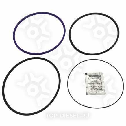 8701509 Комплект уплотнительных колец гильзы Volvo FH TD122/123 Lema купить