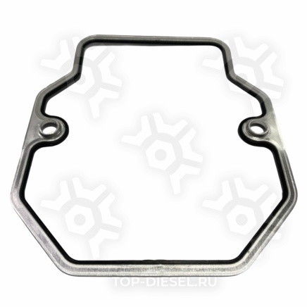2096805 Прокладка клапанной крышки металлическая MAN F2000/TGA D2866/76LF Lema купить
