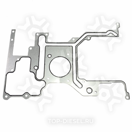 DSG4985562 ПРОКЛАДКА КОРПУСА ШЕСТЕРЕН ISX DSG купить